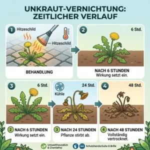 Before and after timeline results of an elektrischer unkrautvernichter mit hitze.