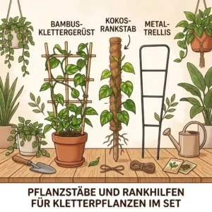 Set of varying pflanzstäbe rankhilfe für kletterpflanzen on a table